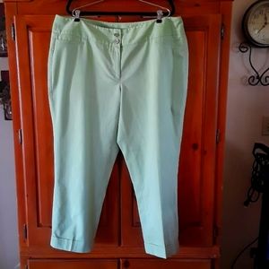 Rafella Woman size 20W pants